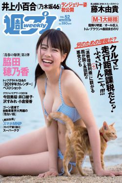 我的董事长老婆
